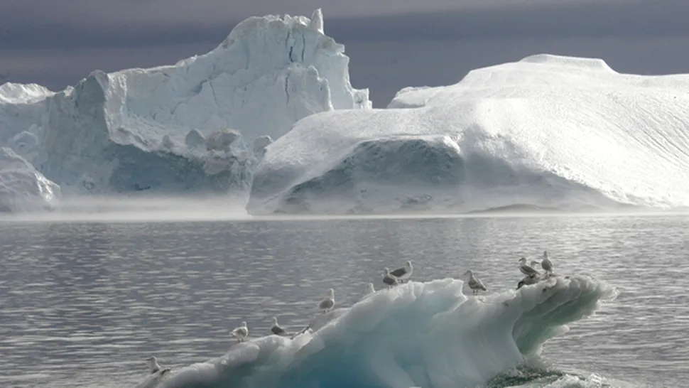 Calota glaciara a Groenlandei este erodata de curentii marini