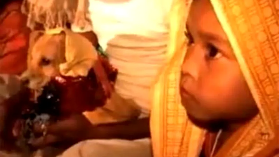 O fetita de 8 ani s-a maritat cu un caine (Poze & Video)