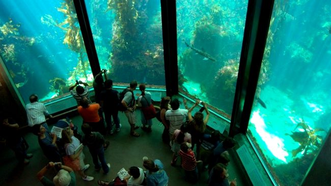 Monterey Bay Aquarium