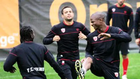 „Cainilor” straini nu le place cartea! (Prosport)