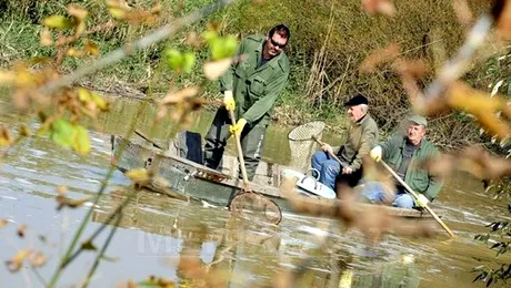 Dunarea, afectata de deversarea de reziduuri chimice din Ungaria