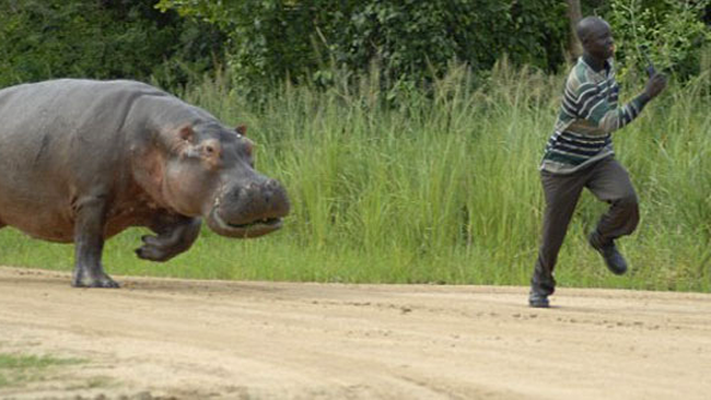 Fuga e rusionoasa, dar e sanatoasa!