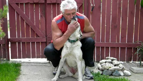 Dorinţa arzătoare a cascadorul Szobi Cseh, pe patul de spital