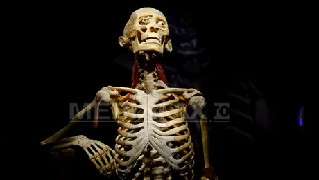 Record de vizitatori la expoziția „The Human Body” de la Muzeul Antipa