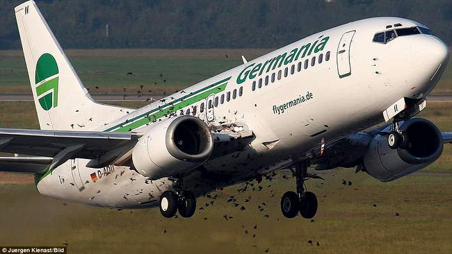 avion fly germania