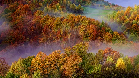 Vremea.Apropo.ro: Prognoza meteo pentru miercuri, 16 octombrie 2013