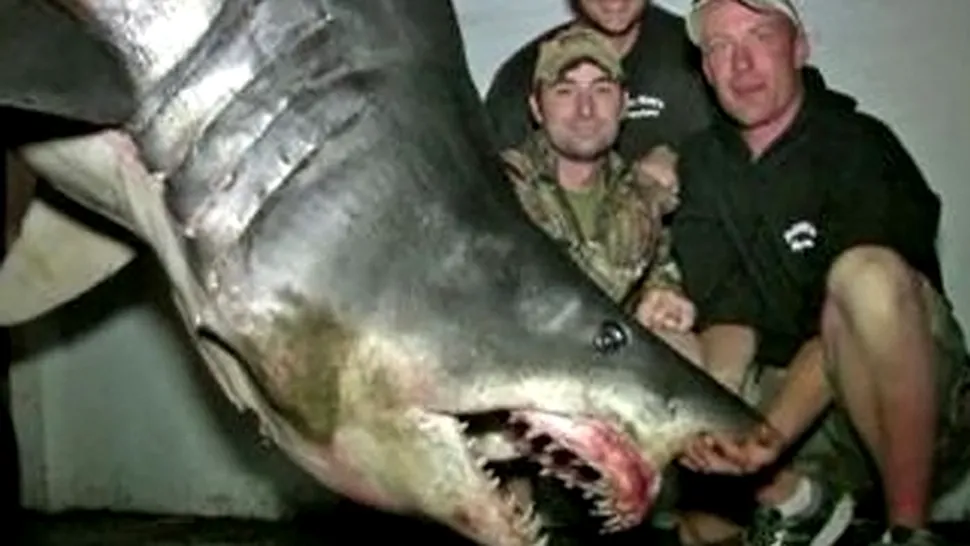 Un american a prins cel mai mare rechin din istorie