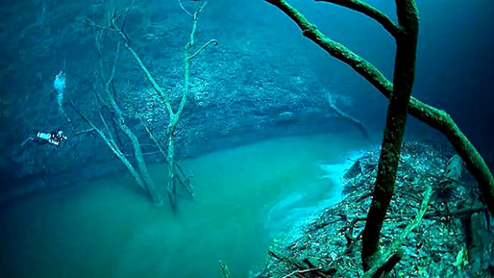 Rămâi înmărmurit! Descoperire fabuloasă pe fundul Mării Negre. Secretul a fost dezvăluit! - FOTO