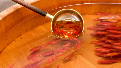 Un artist japonez picteaza pestisori 3D (Video)