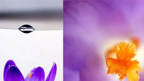 Transformă-ți telefonul într-un microscop, folosind o picătură de apă