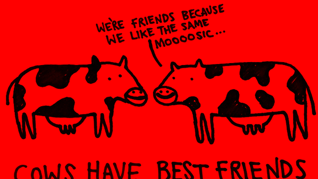 Vacile sunt prietene