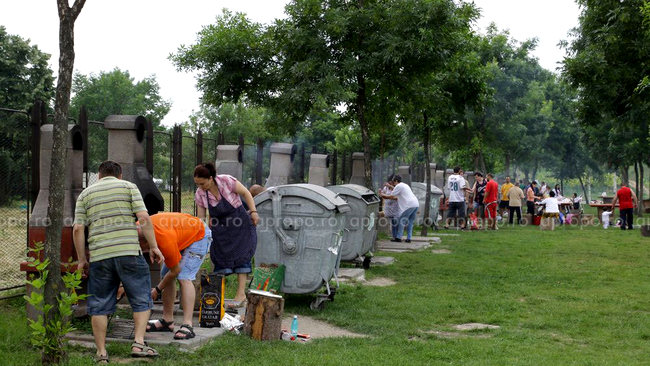 Locul de picnic este dotat cu multe tomberoane pentru gunoiul rezultat, inevitabil, dupa un gratar