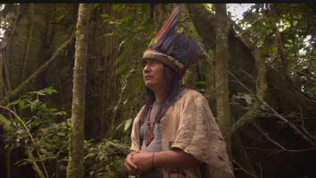 „The Magnitude of All Things”, în deschiderea Alpin Film Festival