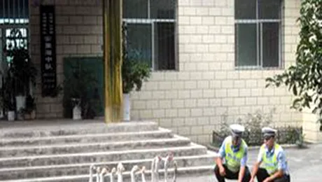 O nouă armă împotriva infracționalității: gâștele