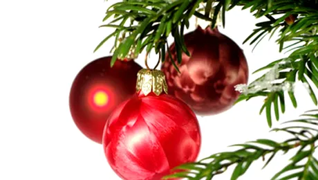 16 lucruri amuzante despre Crăciun pe care nu le știai