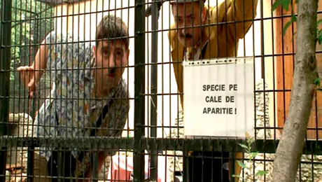 Sandilău şi Bălălău prezintă Meltenia la PRO TV