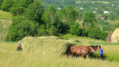 Romania, de vanzare! Cat costa?