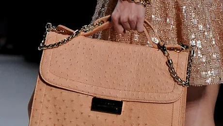 Iata ce genti se poarta in sezonul primavara-vara 2011! (poze)