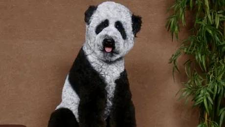 Cel mai traznit show: deghizarea cainilor in alte animale(Poze)