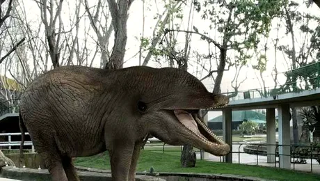 Animale bizare care par a fi combinația altor specii