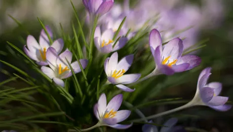 Cum va fi vremea până pe 16 martie 2014