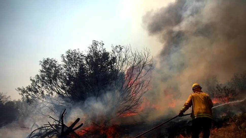 SUA: Cel puțin 1.000 de gospodării evacuate din cauza incendiilor