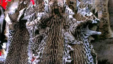 Produse de lux interzise spre vanzare