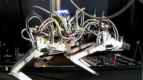 Cheetah, cel mai rapid robot din lume (Video)