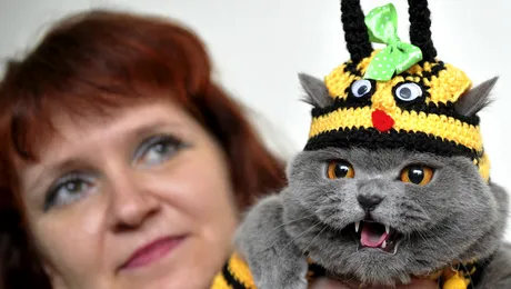 Fotografia zilei: Animale în jurul lumii