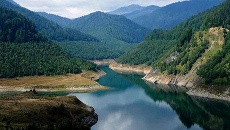 Parcul National Retezat este distrus de un gandac! (Video)