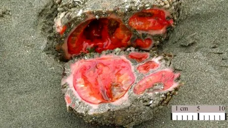 Ciudățenie a naturii: piatra care sângerează