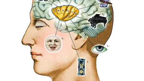 Ai IQ-ul mai mare ca Einstein? Fa testul de intelgenta!