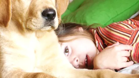 Cainele, bona perfecta pentru copilul tau (Video)