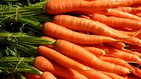 Morcovii n-au fost intotdeauna portocalii