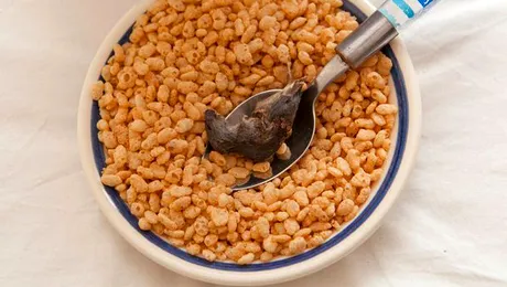 Ce lucru ÎNGROZITOR a găsit un bărbat într-o cutie cu cereale