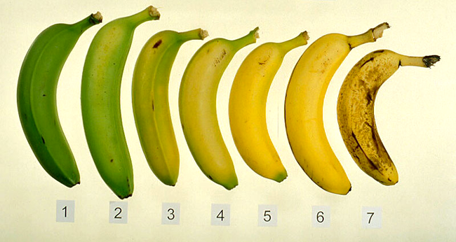 banana - stadii de coacere