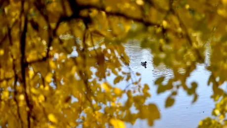 Vremea.Apropo.ro: Prognoza meteo pentru vineri, 21 februarie 2014