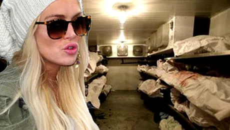 Lindsay Lohan, femeie de serviciu la morga