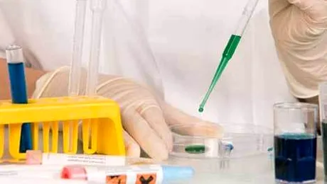 Olandezii au creat un virus ucigas, transmisibil prin tuse si stranut