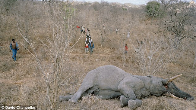 descoperirea sursei de hrana