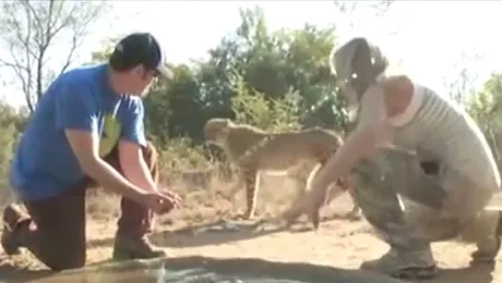 Adam Sandler a fost atacat de un ghepard (Video)