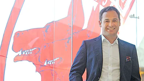 Va avea Dinamo, în sfârșit, un stadion european?
