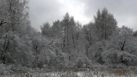 Prognoza meteo pentru luni, 19 ianuarie 2015