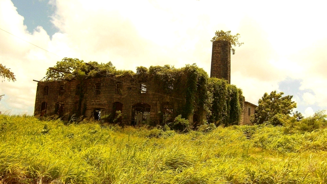 Distilerie abandonată în Barbados