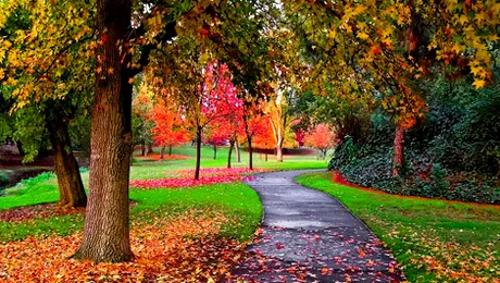 Cum va fi vremea până pe 6 octombrie 2013