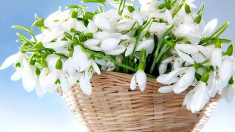 Vremea.Apropo.ro: Prognoza meteo pentru joi, 27 februarie 2014