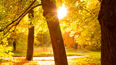 Vremea.Apropo.ro: Prognoza meteo pentru sâmbătă, 23 noiembrie 2013