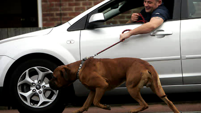 Cei mai lenesi oameni din lume (poze)