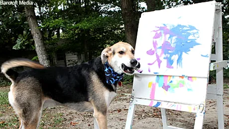 Tablourile pictate de un caine se vand cu 1.700 de dolari