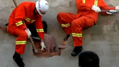 „Stafie” salvată de pompieri